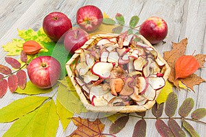 fresh-and-dried-apples-on-autumn-leaves--imagio-preview33972072.jpg